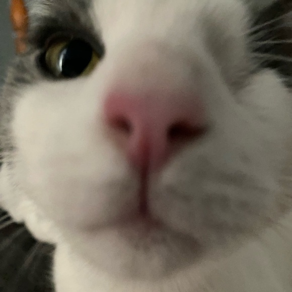 hazeljwoodruff
